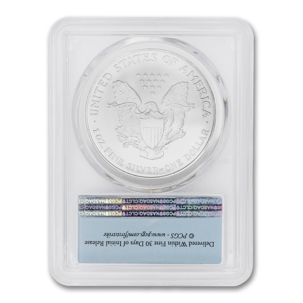 1 oz American Silver Eagle Coin MS-70 R168289