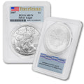 1 oz American Silver Eagle Coin MS-70 R168289