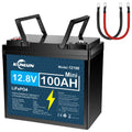 12V 100Ah LiFePO4 Battery R209745