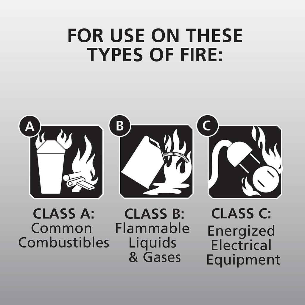 White 3.9 Lbs. Fire Extinguisher with Wall Mount H836880