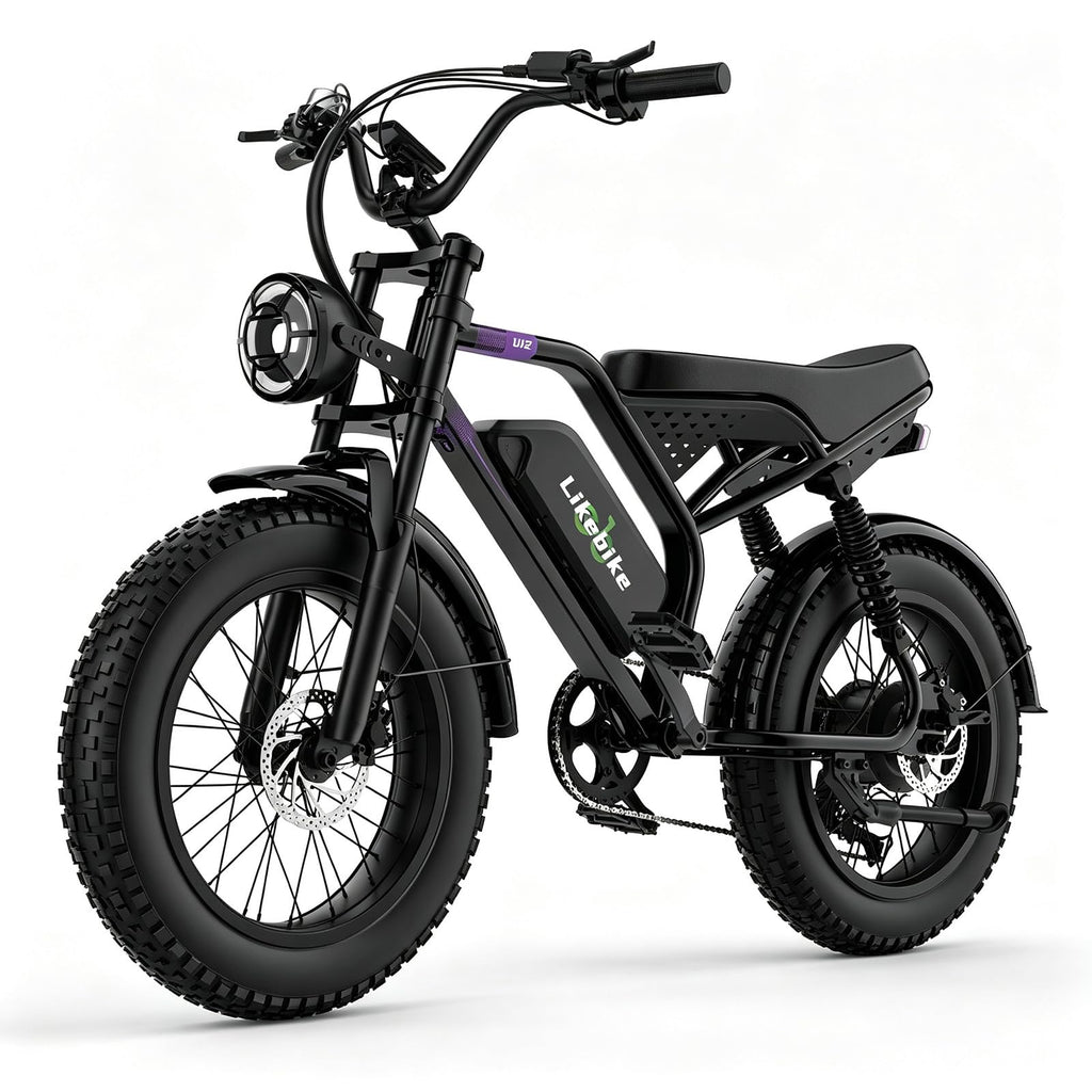 1500W 80 Miles 48V 20AH Electric Bike X3284