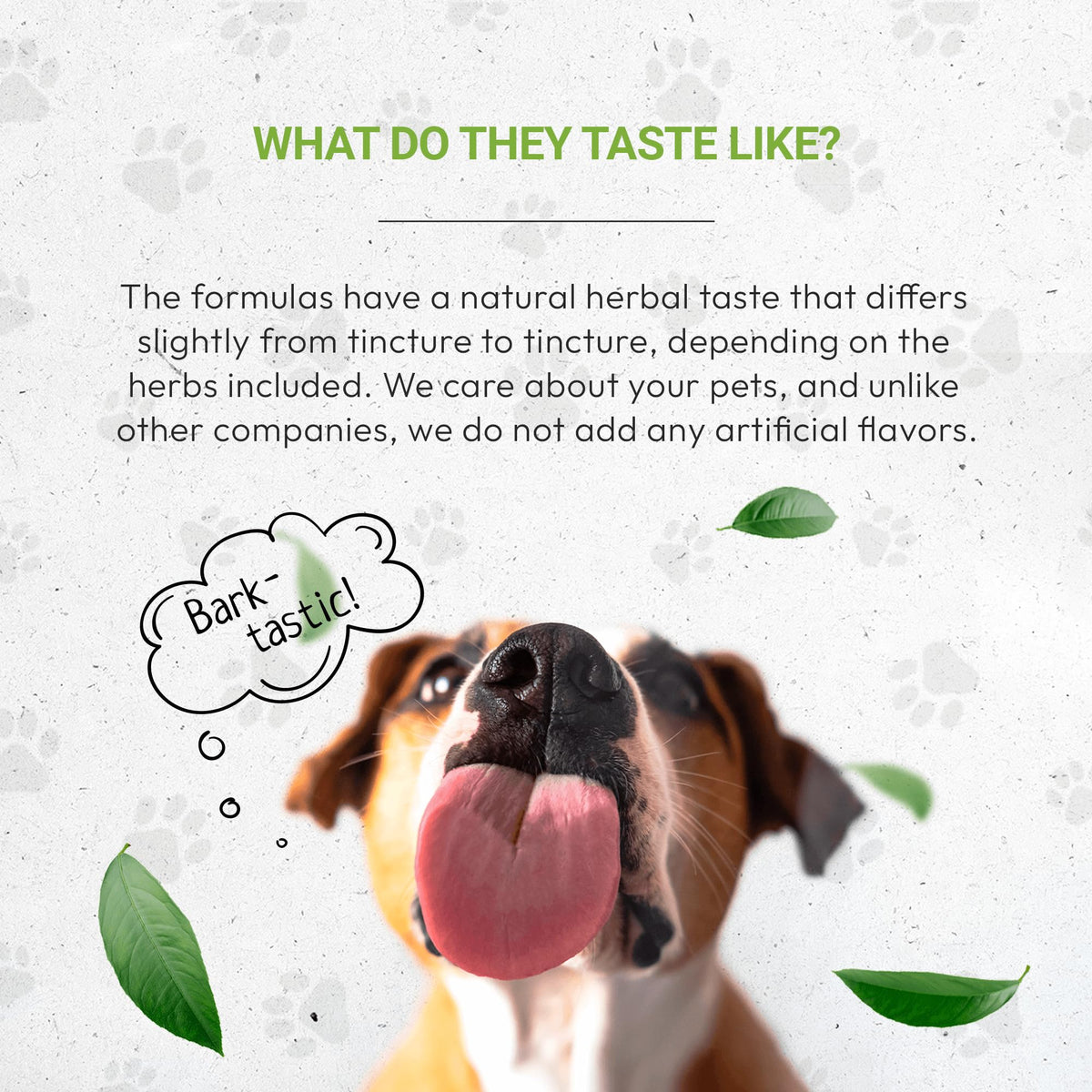 Herbal Respiratory Supplement for Dogs 2 oz O5501