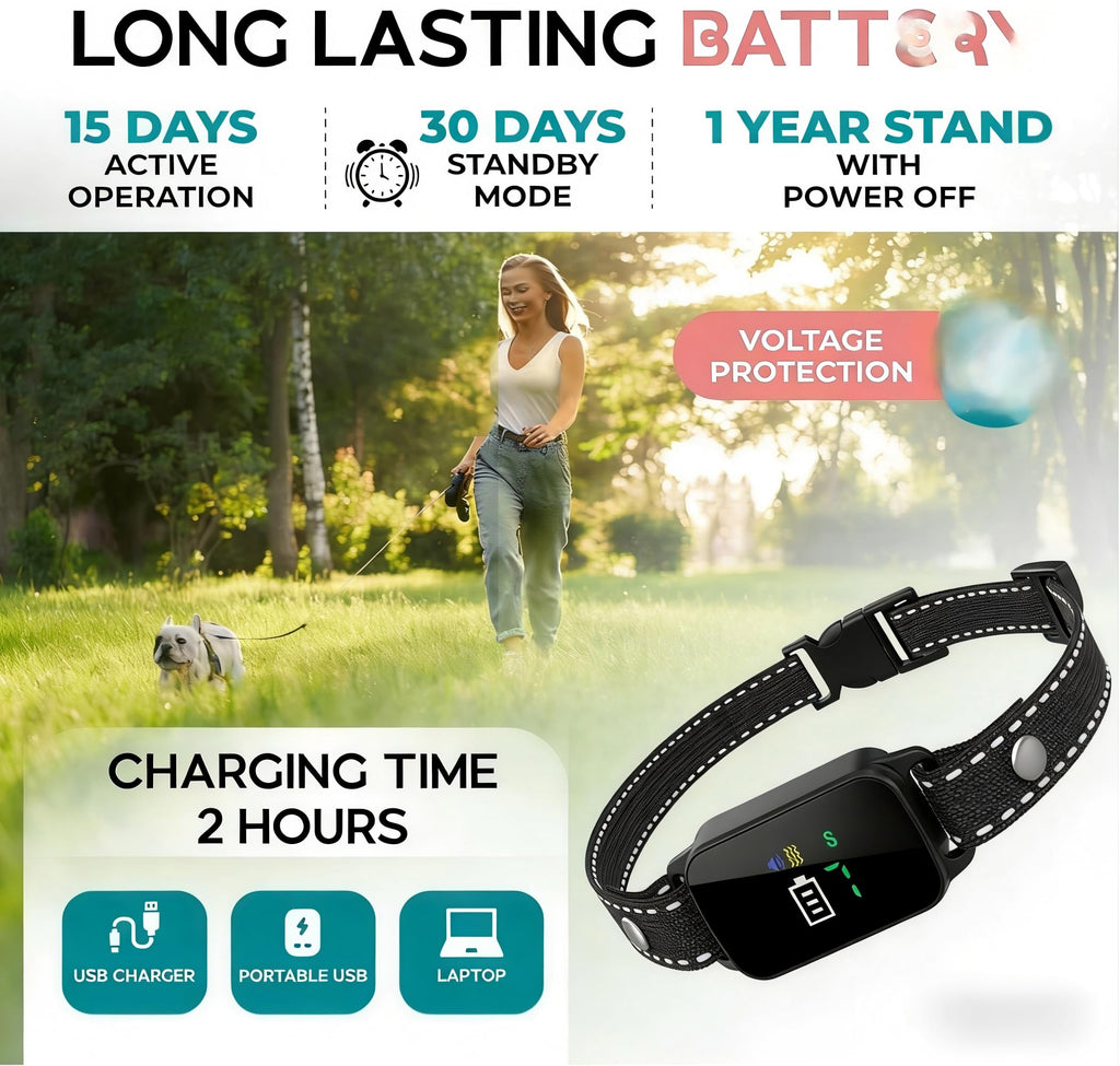 2 Pack Small Anti Barking Training Collar Z50339
