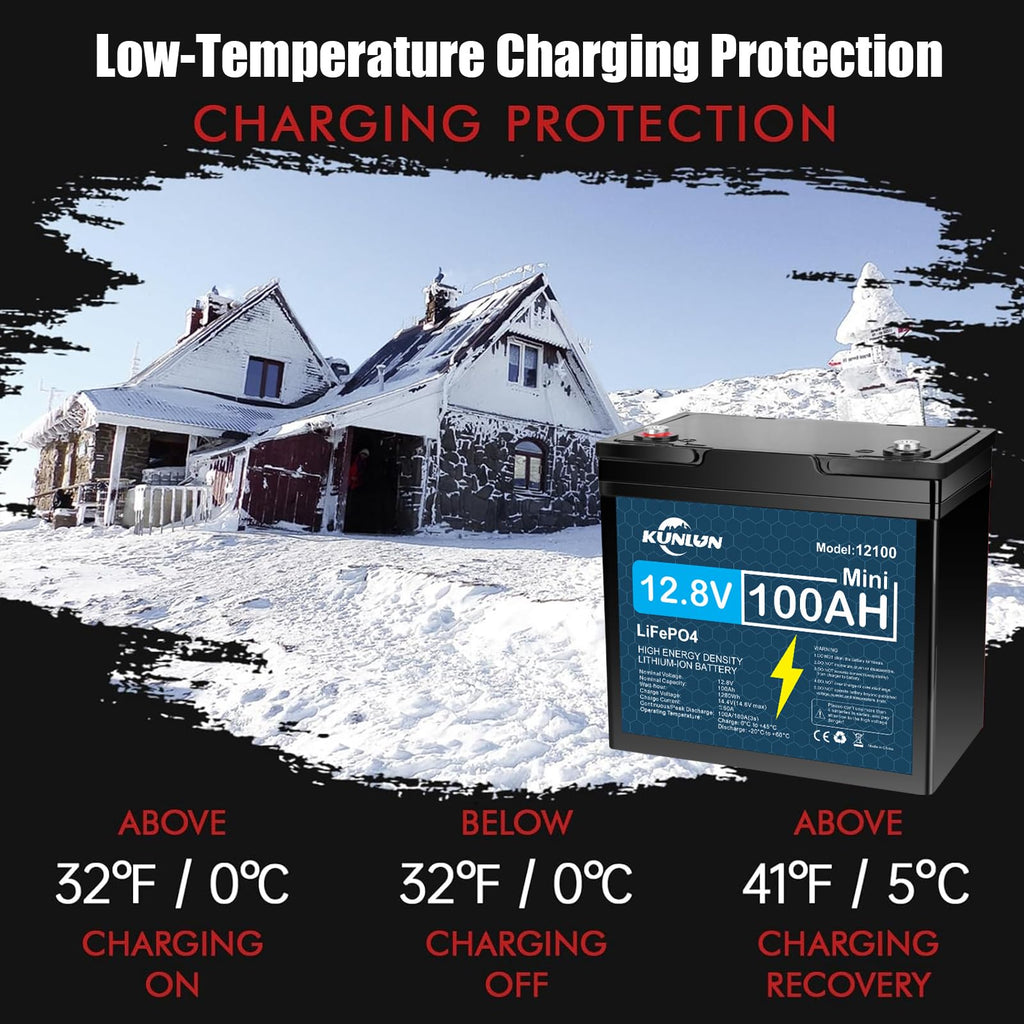 12V 100Ah LiFePO4 Battery R209745