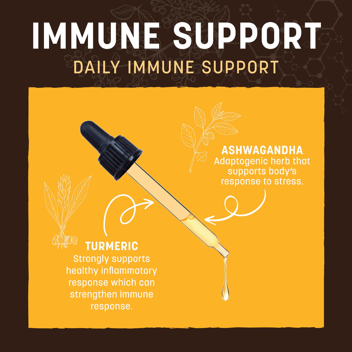 Immune Support for Dogs & Cats 2 fl oz X313