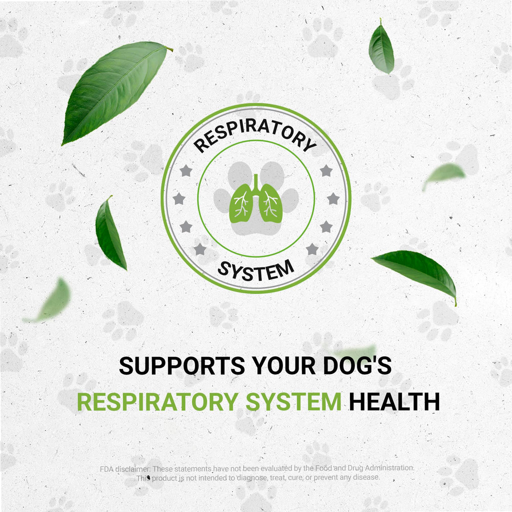 Herbal Respiratory Supplement for Dogs 2 oz O5501