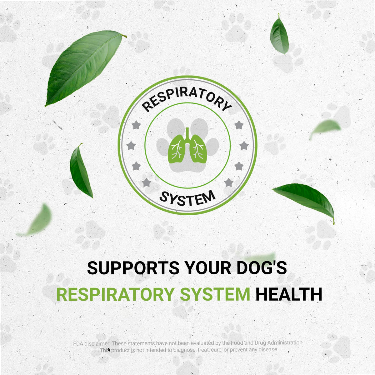 Herbal Respiratory Supplement for Dogs 2 oz O5501
