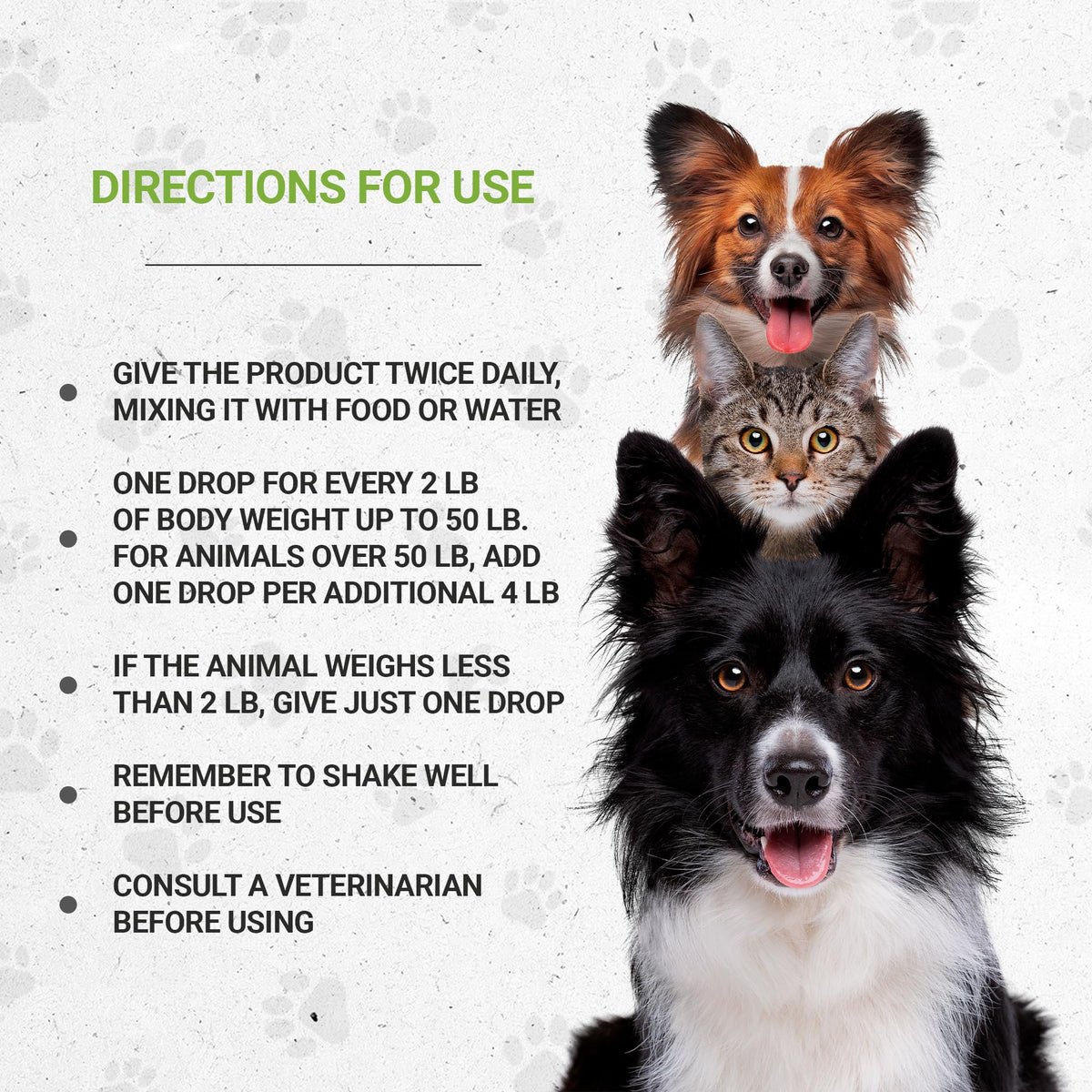 Herbal Respiratory Supplement for Dogs 2 oz O5501